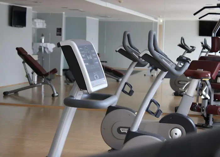 林茨雷迪森公园客栈 4*